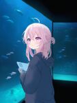  1girl ahoge animal aquarium bangs black_hoodie commentary_request fish from_side hair_between_eyes highres holding hood hood_down hoodie indoors long_sleeves looking_away looking_to_the_side original pink_hair puffy_long_sleeves puffy_sleeves shiodome_oji solo two_side_up violet_eyes water 