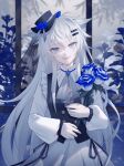  1girl :d alternate_costume animal_ears arknights ascot bangs black_headwear black_vest blue_eyes blue_flower blue_rose cowboy_shot dress flower grey_ascot hat head_tilt highres holding holding_flower lappland_(arknights) liuyoumu long_sleeves looking_at_viewer rose scar scar_across_eye scar_on_face sharp_teeth smile solo teeth upper_teeth vest white_dress window wolf_ears 