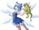 1girl animal blue_bow blue_dress blue_eyes blue_hair bow breasts cirno collared_shirt cowboy_shot detached_wings dress foreshortening frog greentale_(fegdgn) hair_bow highres holding holding_animal looking_at_viewer medium_hair open_mouth pinafore_dress puffy_short_sleeves puffy_sleeves shirt short_sleeves simple_background small_breasts solo teeth touhou upper_teeth v-shaped_eyebrows white_background white_shirt wings 
