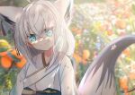  1girl absurdres ahoge animal_ear_fluff animal_ears bangs blurry blurry_background blush braid commentary_request earrings extra_ears fox_ears fox_girl fox_tail green_eyes hair_between_eyes hair_ornament highres hololive japanese_clothes jewelry kimono long_hair looking_at_viewer matudo_yuu pentagram shirakami_fubuki sidelocks single_braid smile solo tail virtual_youtuber white_hair white_kimono 