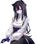  0_(znanimo) 1girl absurdres animal_ear_fluff animal_ears arknights bangs black_hair black_skirt blue_gloves breasts closed_mouth commentary gloves hair_between_eyes half_gloves high-waist_skirt highres long_hair long_sleeves looking_at_viewer puffy_long_sleeves puffy_sleeves red_eyes shirt simple_background skirt small_breasts solo symbol-only_commentary texas_(arknights) very_long_hair white_background white_shirt 