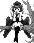  1girl absurdres bare_tree bird_wings closed_mouth full_body hat high_contrast highres looking_at_viewer monochrome neophyte outdoors pointy_ears pom_pom_(clothes) shameimaru_aya short_hair simple_background sitting_on_branch smile solo thigh-highs tokin_hat touhou tree wings 