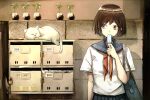  1girl bag blue_skirt brown_eyes brown_hair cat closed_eyes food holding holding_food lock original osakanaotoko padlock plant pleated_skirt popsicle potted_plant sailor_collar school_bag school_uniform shirt skirt solo wall white_cat white_shirt 