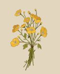  bouquet buttercup_(flower) commentary commission english_commentary flower grey_background highres leaf libbyframe no_humans original plant signature simple_background still_life yellow_flower 