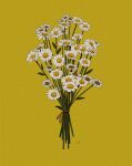  bouquet commentary daisy english_commentary flower highres leaf libbyframe no_humans original plant signature simple_background still_life white_flower yellow_background 