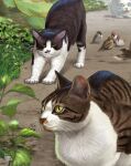  animal_focus bird bird_request blue_eyes blurry blurry_foreground cat day highres matataku monita_(matataku) original outdoors plant stretching surprised_cat_(matataku) yellow_eyes 