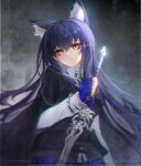  1girl animal_ear_fluff animal_ears arknights bangs black_hair blue_gloves blurry chinese_commentary closed_mouth collared_shirt commentary_request fingerless_gloves gloves hair_between_eyes holding holding_sword holding_weapon long_hair long_sleeves shirt solo sword texas_(arknights) texas_the_omertosa_(arknights) weapon white_shirt wolf_ears wuyuzi1015 