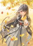  1girl autumn autumn_leaves bangs black_hair black_kimono blurry blurry_background blush commission depth_of_field frilled_sleeves frills ginkgo_leaf grey_skirt hair_between_eyes highres holding holding_leaf japanese_clothes kimono kitada_mo leaf long_hair long_sleeves looking_at_viewer maple_leaf obi original parted_lips pleated_skirt red_eyes sash skirt sleeves_past_fingers sleeves_past_wrists solo very_long_hair wide_sleeves 