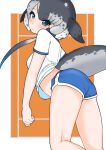  1girl absurdres alternate_costume blue_eyes blue_hair blue_shorts blush bow casual cetacean_tail commentary cowboy_shot dolphin_shorts grey_bow grey_hair hair_bow highres illu kemono_friends midriff_peek multicolored_hair narwhal_(kemono_friends) partygas shirt short_hair short_hair_with_long_locks short_shorts short_sleeves shorts solo symbol-only_commentary t-shirt whale_girl white_hair white_shirt 