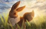  blurry closed_mouth clouds commentary_request eevee grass looking_back momomo12 no_humans outdoors pokemon pokemon_(creature) red_eyes signature sky solo standing 