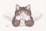  angel_wings animal_focus cat commentary_request dated feathered_wings looking_at_viewer mirin_(mirin_4) no_humans original painting_(medium) traditional_media watercolor_(medium) white_wings wings 