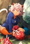  1girl :3 androgynous animal_ears bangs blue_jacket breasts bush buttons cat_ears cat_tail day double-breasted gift highres hunter_x_hunter jacket khyle. kneehighs neferpitou outdoors red_eyes scissors short_hair sitting small_breasts smile socks solo tail tree watermark web_address 