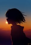  1girl bangs blue_sky chromatic_aberration clouds commentary english_commentary evening gradient_sky highres hood hoodie original scenery short_hair signature silhouette sky skyrick9413 solo standing sun sunset upper_body 