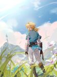  1boy bird blonde_hair blue_sky blue_tunic boots clouds cloudy_sky feet_out_of_frame fingerless_gloves flower from_behind gloves grass hair_between_eyes highres link looking_away low_ponytail male_focus medium_hair outdoors pants pointy_ears shirt sidelocks sky solo standing swan taiz22 the_legend_of_zelda the_legend_of_zelda:_breath_of_the_wild white_flower white_pants white_shirt 