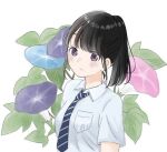  1girl bangs black_hair blue_flower blue_necktie closed_mouth collared_shirt commentary flower leaf light_frown looking_at_viewer morning_glory necktie original pale_skin pink_flower plant pocket ponytail school_uniform shirt short_sleeves simple_background solo upper_body vertical-striped_necktie violet_eyes white_background white_shirt yuum1709 