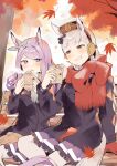  2girls absurdres animal_ears arm_support autumn autumn_leaves bangs bench black_coat blunt_bangs blush breasts bright_pupils coat ear_covers falling_leaves food foot_out_of_frame gloves gloves_removed gold_ship_(umamusume) grey_hair grin hands_up highres horse_ears horse_tail large_breasts leaf looking_at_another maple_leaf mejiro_mcqueen_(umamusume) multiple_girls open_mouth petticoat pink_eyes pleated_skirt purple_hair red_gloves red_scarf scarf sitting skirt smile steam sweet_potato tail teeth thigh-highs tree umamusume usukawa_(uskw_sr) v-shaped_eyebrows violet_eyes white_pupils white_thighhighs 