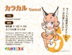  1girl animal_ear_fluff animal_ears blue_eyes bow bowtie caracal_(kemono_friends) cat_ears cat_girl cat_tail commentary_request elbow_gloves extra_ears gloves highres kemono_friends kneehighs long_hair looking_at_viewer official_art open_mouth orange_hair shirt shoes simple_background skirt sleeveless sleeveless_shirt smile socks solo tail translation_request yoshizaki_mine 