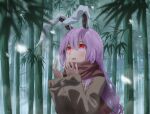 1girl animal_ears bamboo bamboo_forest blush brown_coat brown_scarf buttons coat fingernails forest hair_between_eyes highres light_purple_hair long_hair long_sleeves nature open_mouth otomeza_ryuseigun rabbit_ears red_eyes reisen_udongein_inaba scarf solo touhou upper_body 