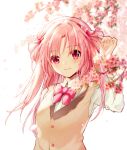  1girl akinomiya_asuka bangs breasts cherry_blossoms closed_mouth collared_shirt commentary_request flower hair_flower hair_ornament long_hair long_sleeves looking_at_viewer neck_ribbon original parted_bangs pink_eyes pink_flower pink_hair pink_ribbon ribbon riverbed_soul_saver shirt small_breasts smile solo touhou upper_body vest white_shirt yamatoyo_no_momohime yellow_vest 