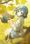  1girl bangs blue_eyes blue_hair blush commentary_request delicious_party_precure falling_leaves fuwa_kokone ginkgo_leaf hair_ornament hairclip highres leaf precure shorin_(sy0r1nacco) sitting_on_bench smile solo yellow_leaves 