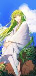  1other absurdres androgynous artist_name bangs barefoot blue_sky clouds commentary_request day ede enkidu_(fate) eyelashes fate/grand_order fate_(series) feet floating_hair grass green_eyes green_hair grin highres knee_up leaf long_hair long_sleeves looking_at_viewer no_shoes on_wall other_focus outdoors pants parted_lips plant robe sidelocks sitting sitting_on_wall sky smile solo stone_wall teeth toes twitter_username very_long_hair vines wall white_pants white_robe wide_sleeves wind 