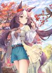  1girl absurdres animal animal_ears autumn autumn_leaves bird blue_shorts blue_sky brown_hair closed_mouth clouds day ear_scrunchie hamanashi_(trapiorra) highres horse_ears horse_girl horse_tail leaf long_hair looking_away low_twintails maple_leaf multicolored_hair outdoors red_scrunchie scrunchie shorts sky smile solo standing streaked_hair tail thighs twintails umamusume white_hair yamanin_zephyr_(umamusume) 