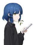  1girl bangs black_shirt blue_hair bocchi_the_rock! branch_in_mouth cellphone collared_shirt commentary hair_ornament hairclip hand_phone hand_up highres im_catfood long_sleeves looking_at_viewer phone profile shirt short_hair simple_background smartphone solo upper_body white_background yamada_ryou yellow_eyes 