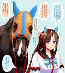  1girl 1other animal_ears bangs beret blunt_bangs braid brown_hair creature_and_personification fantomyu hat highres hokko_tarumae_(racehorse) hokko_tarumae_(umamusume) horse horse_ears horse_girl light_blue_background long_hair looking_at_another looking_at_viewer multicolored_hair real_life sailor_hat simple_background translation_request twin_braids two-tone_hair umamusume violet_eyes 