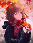  1girl autumn autumn_leaves bangs black_jacket blurry blurry_background blush brown_hair character_name closed_mouth commentary falling_leaves haibara_ai hair_between_eyes highres holding holding_leaf hood hood_down hooded_jacket jacket jiusi1019 leaf looking_at_viewer maple_leaf meitantei_conan outdoors red_scarf scarf short_hair sleeves_past_wrists smile solo striped striped_scarf symbol-only_commentary upper_body violet_eyes 