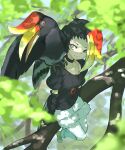  1girl animal animal_on_shoulder bird bird_girl bird_on_shoulder bird_tail bird_wings black_hair blonde_hair blue_eyes blurry blurry_foreground branch choker closed_mouth dappled_sunlight day don3 fingerless_gloves full_body gloves head_wings in_tree jewelry kemono_friends leaf looking_at_another multicolored_hair outdoors pantyhose pantyhose_under_swimsuit pendant redhead rhinoceros_hornbill_(kemono_friends) shirt shoes short_sleeves shorts sitting sitting_in_tree smile sunlight swimsuit tail tree white_pantyhose wings 