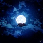  clouds commentary english_commentary flower full_moon highres moon night night_sky no_humans original scenery signature sky skyrick9413 star_(sky) starry_sky 