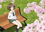  1girl akiyama_yukari bangs bench black_neckerchief black_socks blouse brown_eyes brown_hair cherry_blossoms cup day disposable_cup girls_und_panzer grass green_skirt highres holding holding_cup long_sleeves looking_at_viewer maikaooba messy_hair miniskirt neckerchief ooarai_school_uniform open_mouth outdoors park_bench petals pleated_skirt sailor_collar school_uniform serafuku shirt short_hair sitting skirt smile socks solo white_sailor_collar white_shirt 