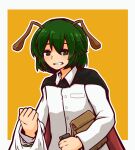  1girl androgynous antennae bag bangs black_cape blush buttons cape collared_shirt commentary_request flat_chest green_eyes green_hair grin hair_between_eyes highres holding holding_phone kide_koushin long_sleeves looking_at_viewer outline paper_bag phone plastic_bag red_cape shirt short_hair smile solo touhou two-sided_cape two-sided_fabric upper_body white_outline white_shirt wriggle_nightbug yellow_background 