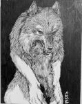  #b7282e :&lt; animal_focus artist_name black_background claws closed_mouth commentary english_commentary greyscale looking_at_viewer mixed-language_commentary monochrome no_humans original pelt rabbit signature simple_background sitting traditional_media wolf 