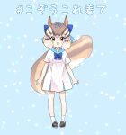  alternate_costume blue_bow blue_bowtie bow bowtie brown_footwear brown_hair casual chipmunk_ears chipmunk_girl chipmunk_tail commentary_request dress full_body hair_bow highres kemono_friends kuromitsu_(9633_kmfr) light_brown_hair loafers multicolored_hair sailor_collar sailor_dress shoes short_hair short_sleeves siberian_chipmunk_(kemono_friends) sidelocks socks translation_request white_dress white_hair white_socks 