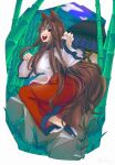  1girl absurdres animal_ear_fluff animal_ears architecture bamboo bamboo_forest bangs black_footwear blush breasts brown_hair clouds commentary_request east_asian_architecture fangs fingernails forest full_body grass highres imaizumi_kagerou large_breasts long_hair long_sleeves looking_at_viewer looking_to_the_side nature open_mouth outdoors purple_sky red_eyes red_skirt rock sandals sharp_fingernails shirt shishi_wan sidelocks skirt slit_pupils solo sweatdrop tail touhou very_long_hair white_nails white_shirt wolf_ears wolf_girl wolf_tail 
