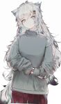  animal_ears arknights black_pants closed_mouth commentary grey_eyes grey_hair grey_shirt hair_ornament hairclip highres lappland_(arknights) long_hair messy_hair pants runamonet scar scar_across_eye shirt simple_background symbol-only_commentary tail turtleneck white_background wolf_ears wolf_girl wolf_tail 