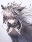  1girl 3_(sanyako1) animal_ears arknights black_cape blood blood_on_face blue_eyes cape closed_mouth grey_hair highres lappland_(arknights) lappland_(refined_horrormare)_(arknights) long_hair official_alternate_costume scar scar_across_eye scar_on_face simple_background smile solo upper_body white_background wolf_ears 