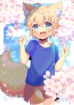  1boy :d ahoge animal_ear_fluff animal_ears bangs blonde_hair blue_eyes blue_shirt blurry blurry_background blurry_foreground blush brown_shorts collarbone commentary_request commission copyright_request fang flower fox_boy fox_ears fox_tail hair_between_eyes hands_up kou_hiyoyo looking_at_viewer male_focus petals pink_flower shirt short_shorts short_sleeves shorts skeb_commission smile solo tail 