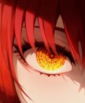  1girl 58_(opal_00_58) absurdres chainsaw_man close-up crystal_eye highres looking_at_viewer makima_(chainsaw_man) solo yellow_eyes 