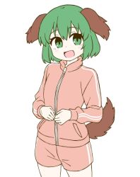  1girl animal_ears brown_tail commentary_request cowboy_shot dog_ears dog_tail flat_chest green_eyes green_hair kasodani_kyouko long_sleeves onkn_sxkn pink_shirt pink_track_suit shirt short_hair simple_background solo tail touhou white_background zipper zipper_pull_tab 