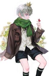  1boy aged_down black_shorts black_socks blue_eyes brown_coat bug butterfly butterfly_on_hand coat crown feet_out_of_frame flower green_scarf grey_hair hair_between_eyes highres love_and_deepspace male_focus mini_crown pangyingkun scarf shirt short_hair shorts sitting socks solo striped_clothes striped_socks white_background white_shirt xavier_(love_and_deepspace) yellow_flower 