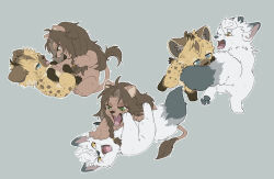  animal animal_focus animalization biting biting_another's_tail blue_eyes commentary_request fighting full_body green_eyes grey_background highres hyena jack_howl leona_kingscholar lion multiple_views no_humans raccoonlot ruggie_bucchi simple_background tail twisted_wonderland wolf yellow_eyes 