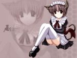  animal_ears catgirl maid tail thigh-highs 