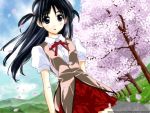  cherry_blossoms highres kobayashi_jin school_rumble short_twintails tsukamoto_tenma twintails 