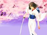  kara_no_kyoukai sword tagme type-moon 