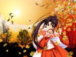  autumn haruka sister_princess tagme tenhiro_naoto 