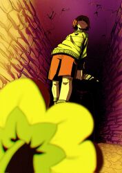  1boy 1other brown_hair brown_shorts chara_(undertale) flower flowey_(undertale) from_below genocide_route_(undertale) green_sweater highres holding holding_knife jewelry knife necklace red_eyes reflection shaded_face shorts slow0_0poke smile sweater undertale utdr_(toby_fox) 