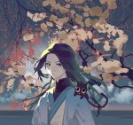  1boy absurdres animal_on_shoulder black_cat black_hair blue_eyes branch cat cat_on_shoulder clouds highres horizon long_hair looking_at_viewer luoxiaohei male_focus outdoors the_legend_of_luo_xiaohei tree upper_body wuxian_(the_legend_of_luoxiaohei) yuki-kajiura 