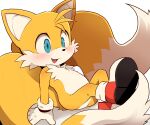  1boy animal_ears animal_nose blue_eyes blush commentary_request dagasi fox_boy fox_ears fox_tail furry furry_male gloves looking_to_the_side male_focus multiple_tails open_mouth red_footwear shoes simple_background sitting smile sneakers socks solo sonic_(series) tail tails_(sonic) tongue two-tone_fur two_tails white_background white_fur white_gloves white_socks yellow_fur 
